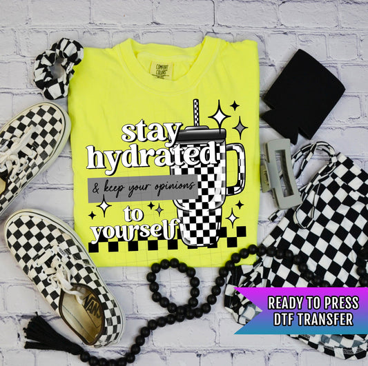 Stay Hydrated and Keep your opinions to yourself, Stay Hydrated DTF Transfers Ready For Press, Sarcastic DTF Prints, Heat Press Transfers, Direct To Film, Funny Transfer, Trendy DTF Transfer