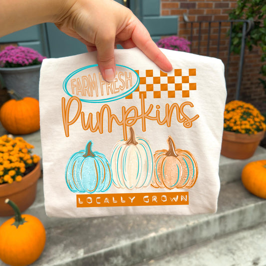 Farm Fresh Pumpkins DTF Transfer Ready For Press, Fall DTF Transfer, Autumn DTF Transfer, Pumpkin Heat Press Transfer, Pumpkin Spice Dtf